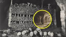 Cripta con restos humanos