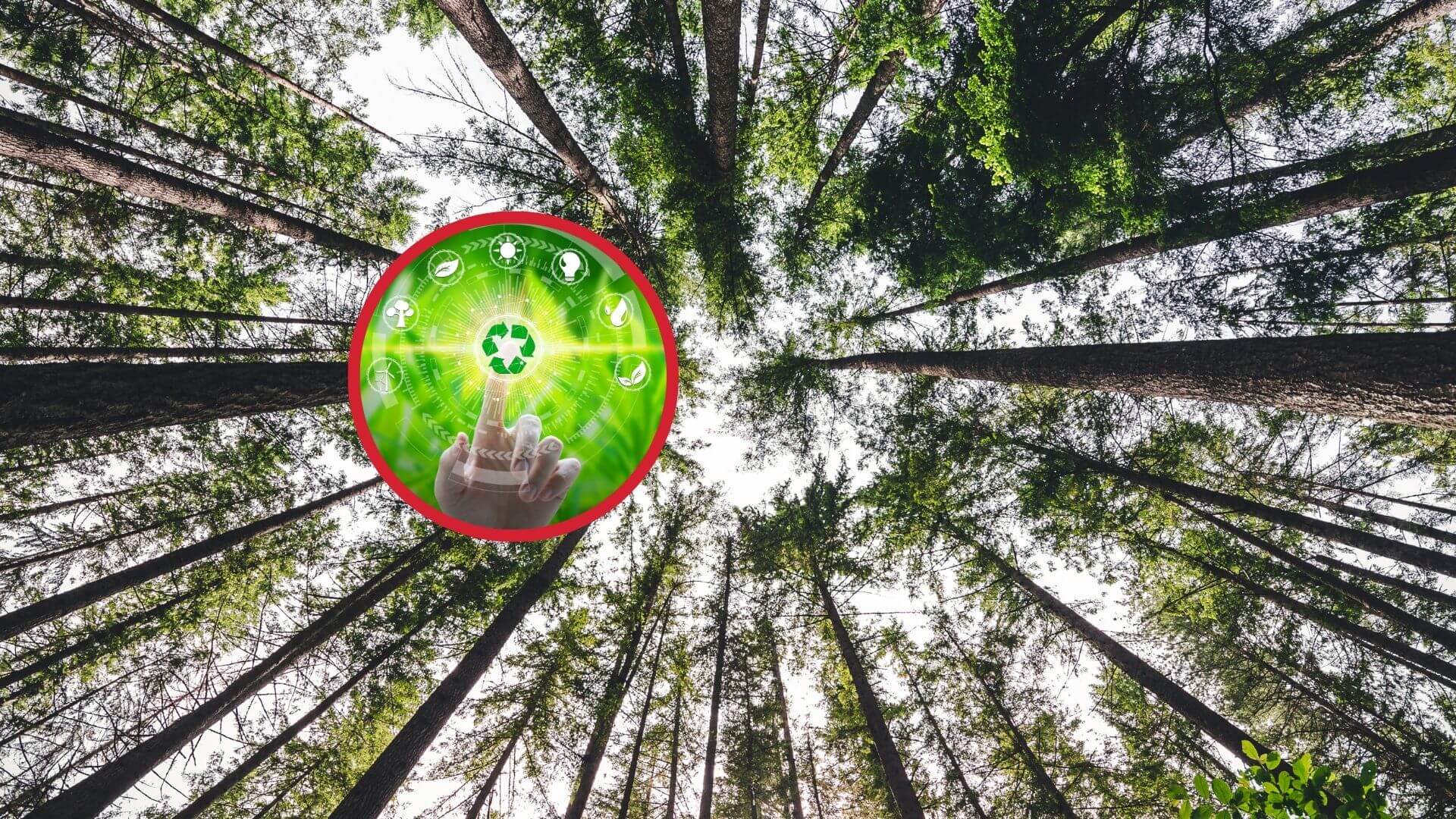 El impacto de la regulación europea de transparencia corporativa en la innovación medioambiental