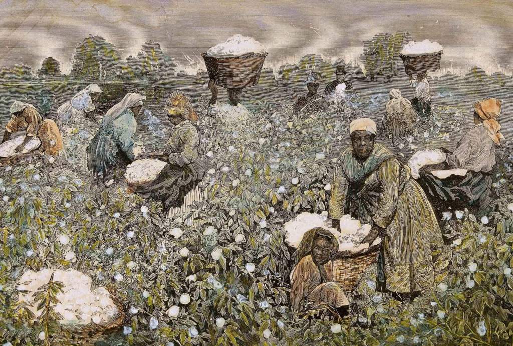 Esclavos recolectando algodón