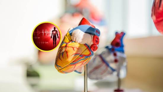 generación cardiaca