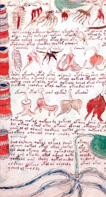 Manuscrito Voynich