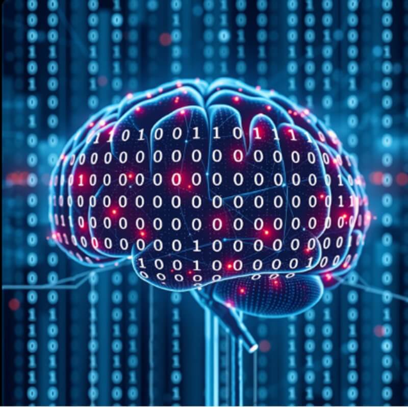 Neurociencia computacional.