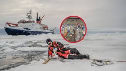 Contaminantes emergentes - One Blue