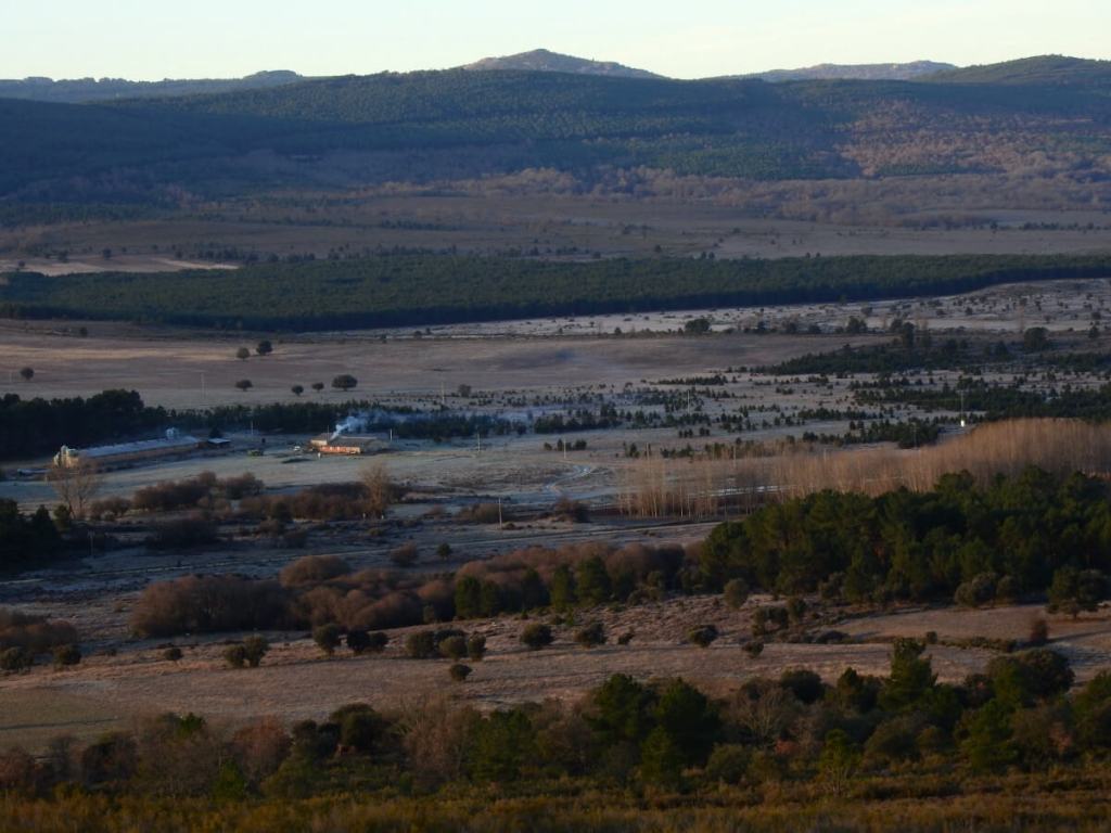 Territorio de lobo ibérico