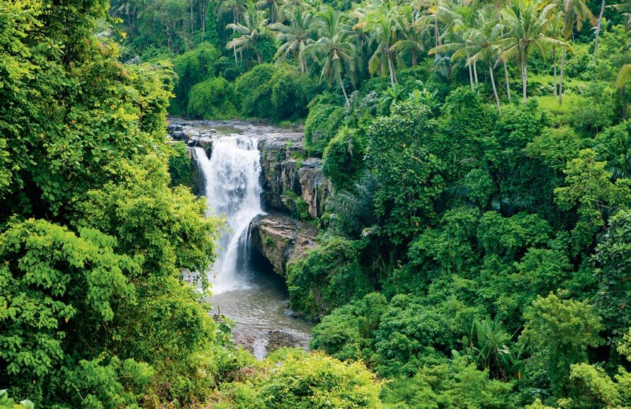 Paisaje salvaje americano