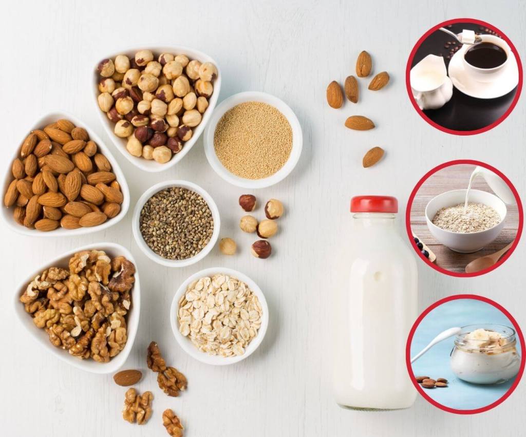 Siete bebidas vegetales que pueden sustituir a la leche 3