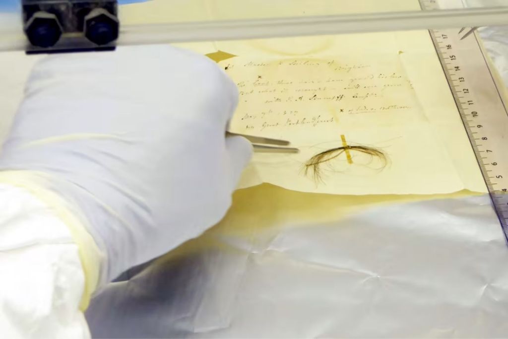 Imagen del mechón Stumpff, atribuido a Ludwig van Beethoven, en un laboratorio del Instituto Max Planck