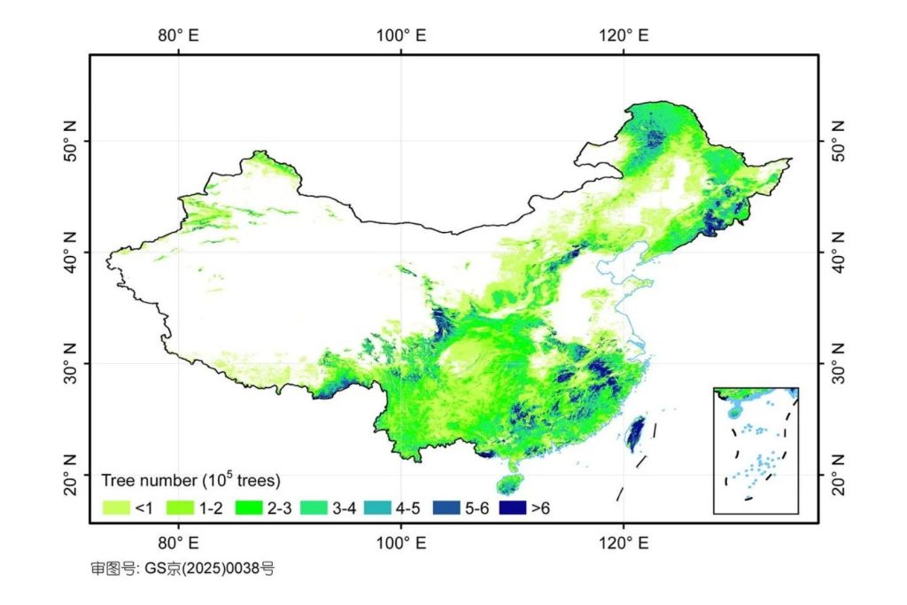 Los investigadores elaboraron un mapa que muestra cómo se distribuyen y cuán densos son los árboles en China