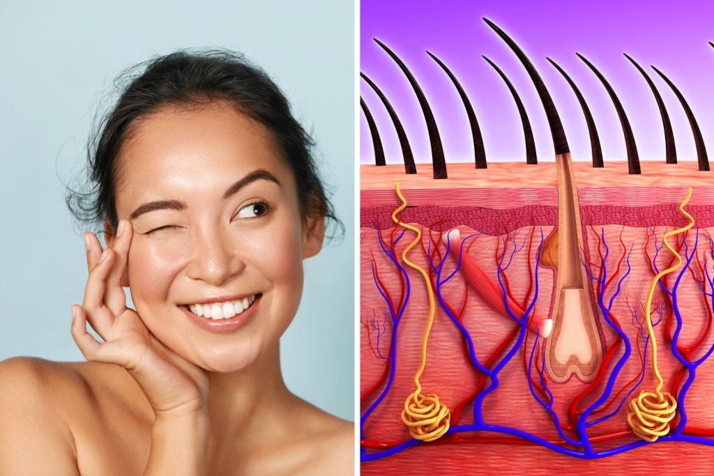 Cada capa de la piel cumple una función vital: protección, sensibilidad, regeneración... y todas juntas reflejan el estado de nuestra salud interna