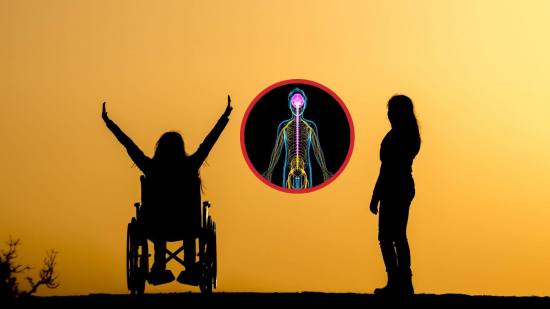 científicos logran restaurar movilidad en personas con parálisis por lesión medular