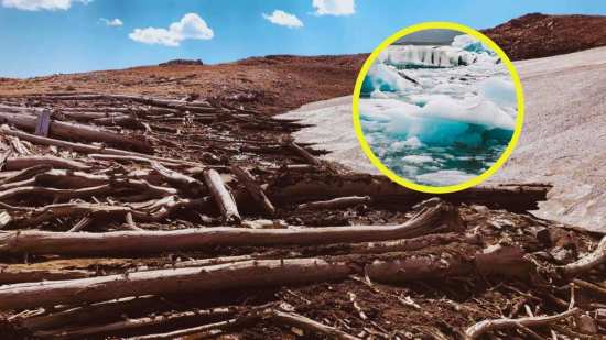 El deshielo saca a la luz un antiguo bosque sepultado durante milenios en las Montañas Rocosas