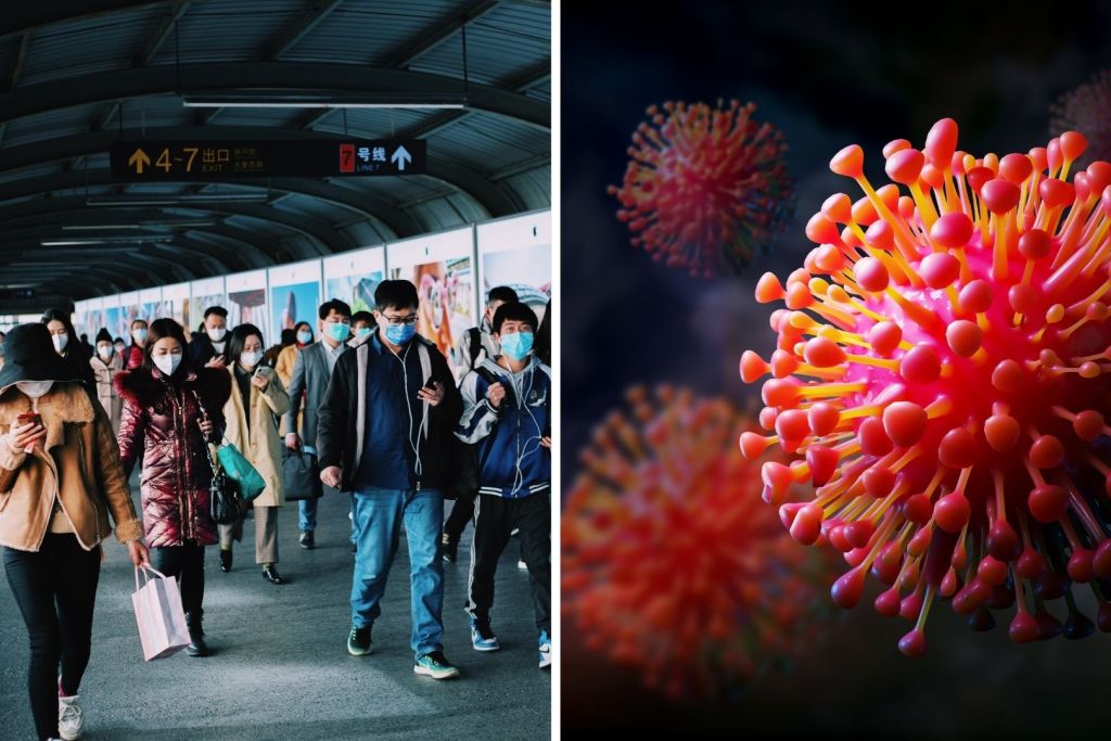 Investigadores advierten que desmantelar la vigilancia científica hoy podría costar millones de vidas en la próxima pandemia