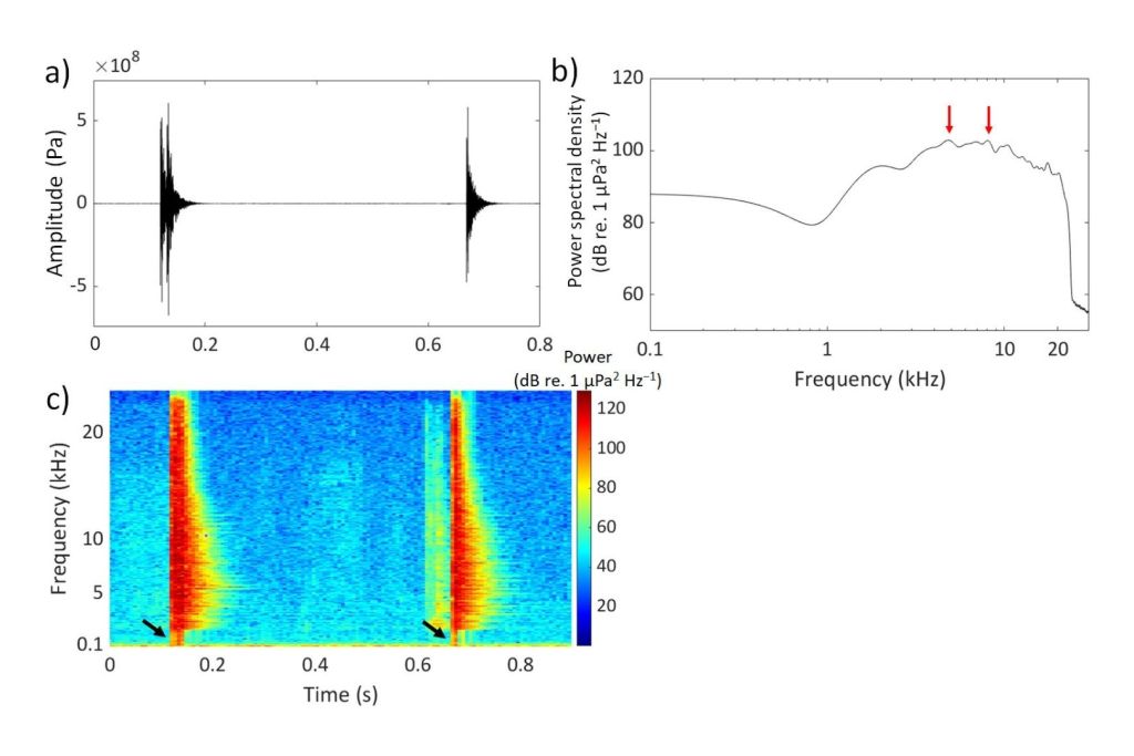 Características temporales y de frecuencia de dos clics amplios típicos emitidos por el tiburón rig (Mustelus lenticulatus) al ser manipulado bajo el agua en un tanque experimental