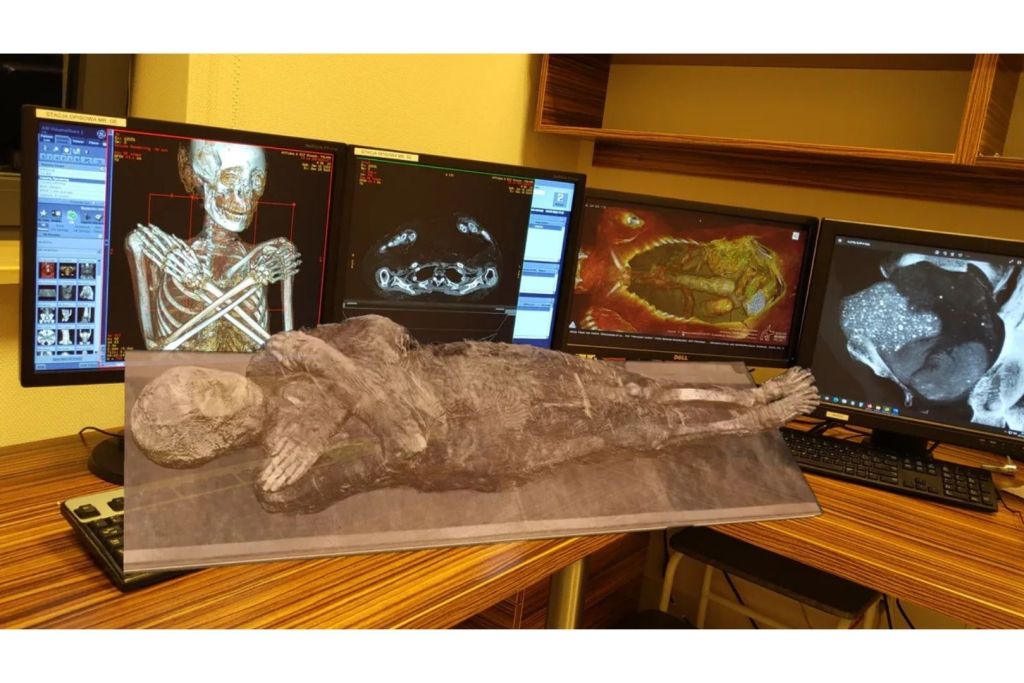La momia conocida como la "Dama Misteriosa" ha sido analizada con un sistema de realidad mixta, permitiendo explorar distintos detalles de su interior