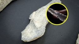 Encuentran en África los primeros cuchillos de la historia