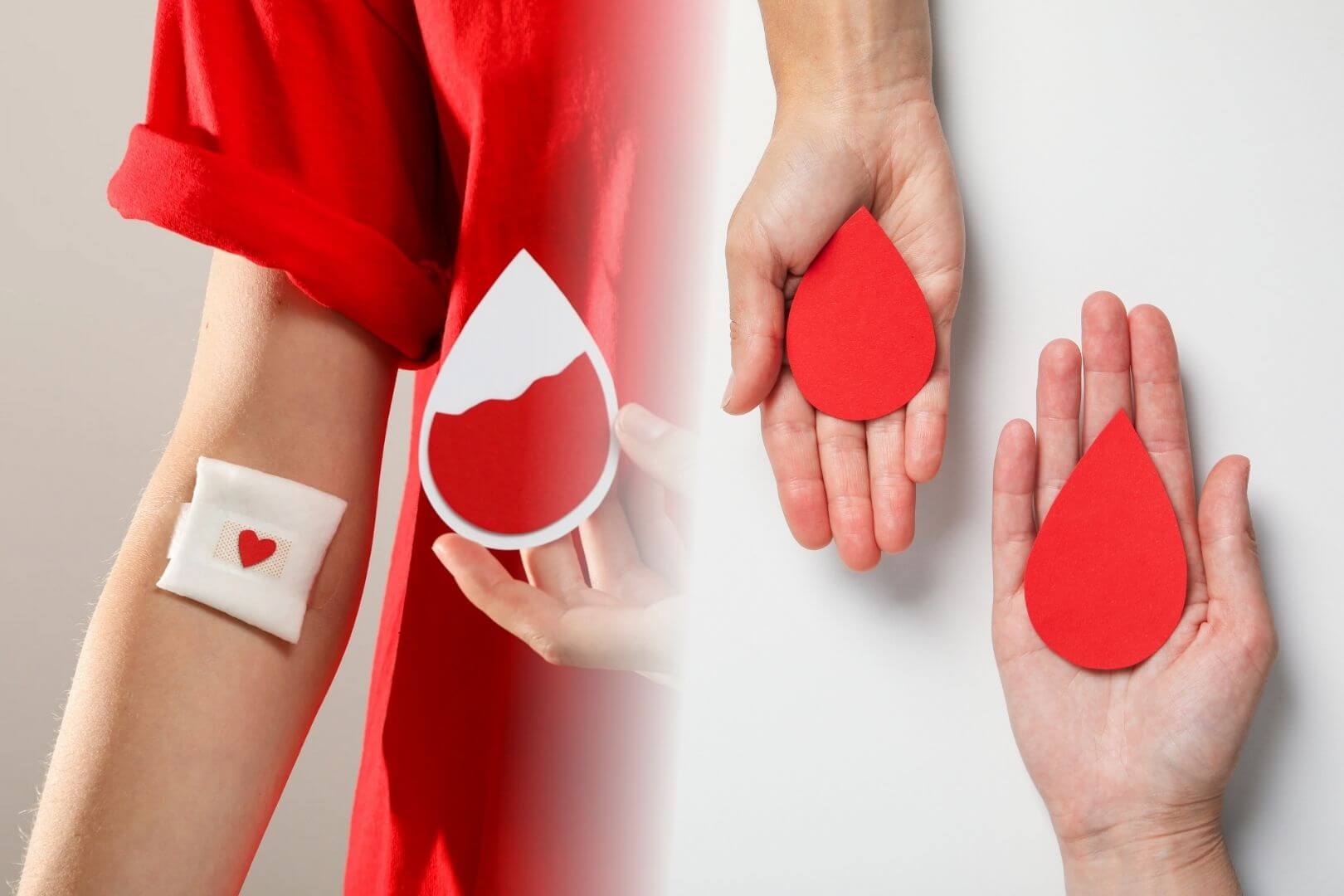 Un hallazgo inesperado sugiere que los donantes frecuentes desarrollan células sanguíneas con ventajas únicas