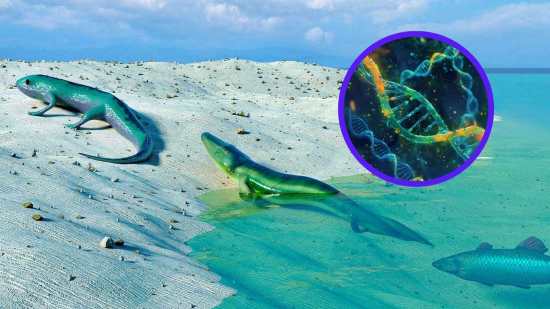 La evolución podría estar evolucionando, volviéndose más eficiente con el tiempo, según un estudio que desafía lo que creíamos saber sobre la adaptación biológica