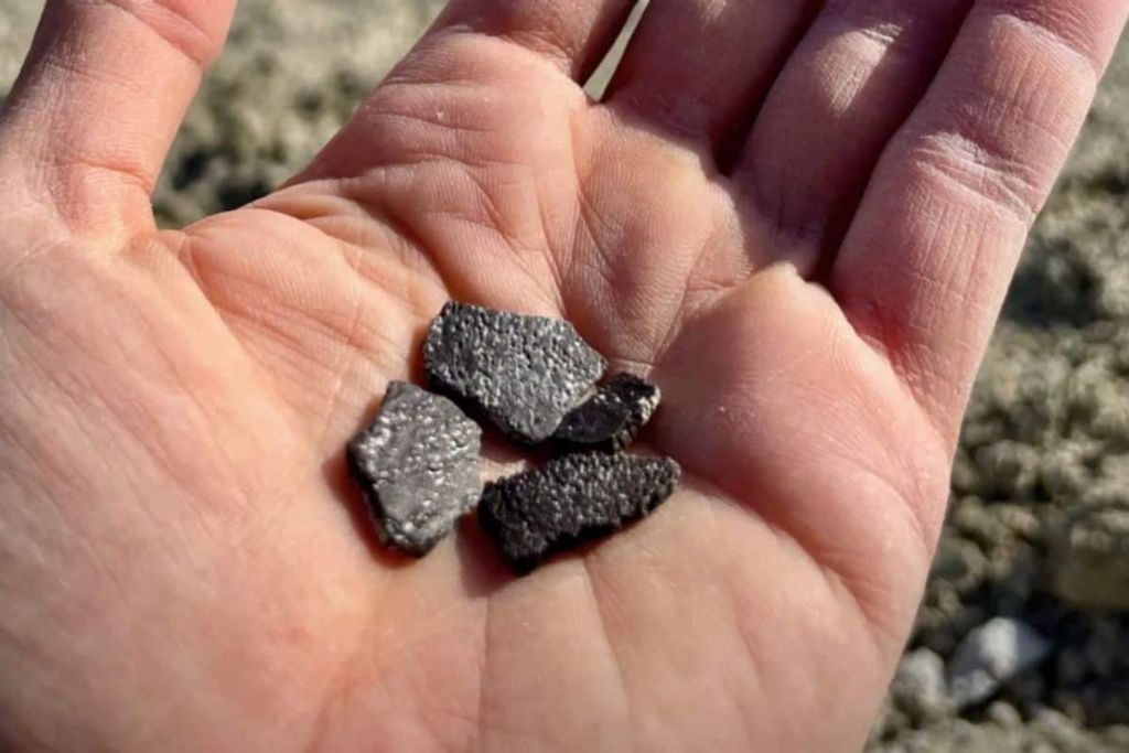 Aparecen en Utah fósiles de huevos prehistóricos que revelan la convivencia de dinosaurios y cocodrilos hace 100 millones de años