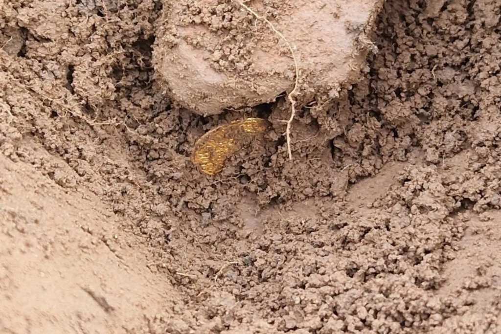 Los exploradores que descubrieron las monedas las calificaron como el hallazgo más importante de sus vidas