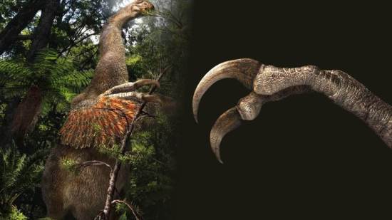 Descubren un dinosaurio con dos garras gigantes y una función inesperada