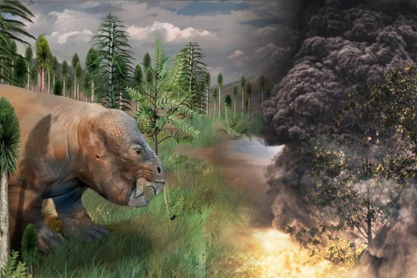 Descubren un refugio ecológico que sobrevivió a la extinción más devastadora de la historia