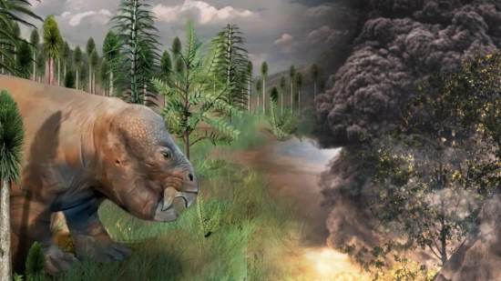 Descubren un refugio ecológico que sobrevivió a la extinción más devastadora de la historia