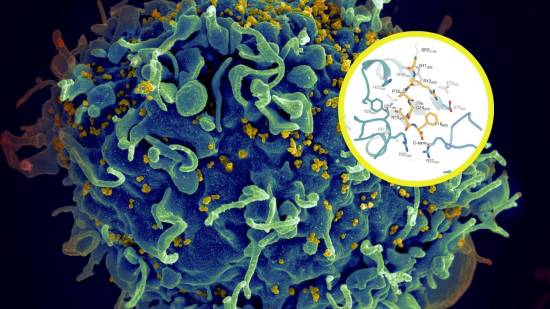 Revelan el ‘interruptor oculto’ que activa y propaga el VIH