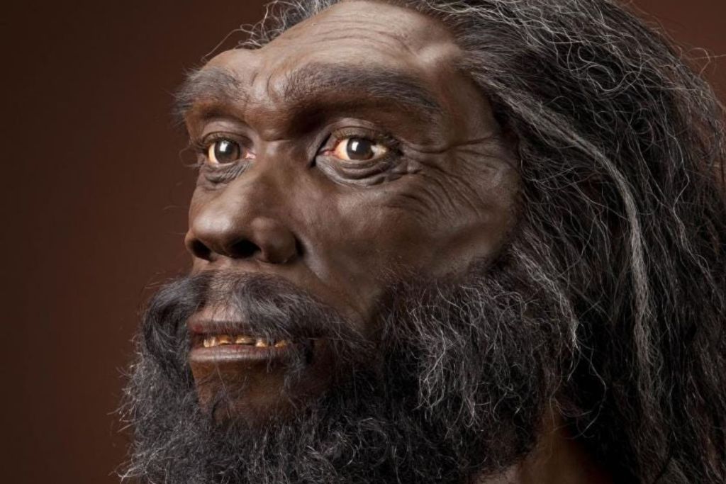 Homo heidelbergensis, una especie enigmática que habitó África y Eurasia, podría ser clave en la historia evolutiva de Homo sapiens y sus ancestros desconocidos