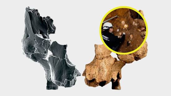 El rostro pertenece a un linaje humano que se extinguió hace aproximadamente un millón de años