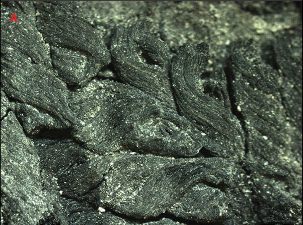 Tejido de la Edad del bonce