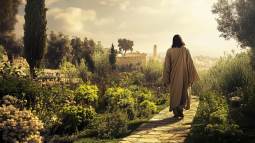 El huerto de Getsemaní, espacio de gran importancia en la Pasión de Cristo