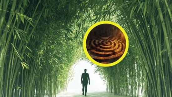 Los laberintos nos siguen fascinando