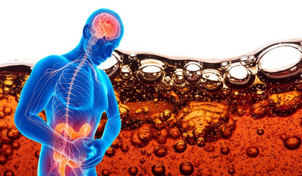 Beber refrescos diariamente modifica tu intestino y favorece la absorción excesiva de azúcar en el cuerpo, según la ciencia 