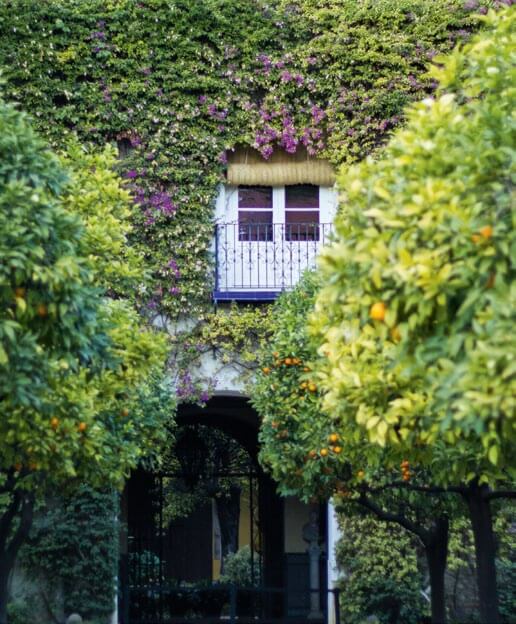 Casa en la sevillana calle Dueñas