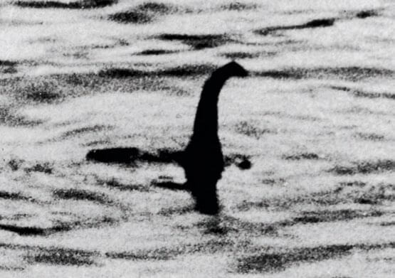 Fotografía de Nessie