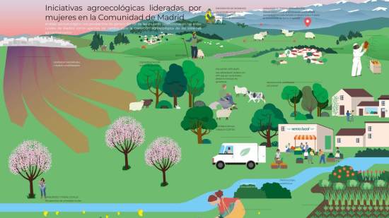 Actividades agrícolas y ganaderas desarrolladas en las iniciativas agroecológicas lideradas por mujeres en la Comunidad de Madrid. Ilustración de Mariela Bontempi.