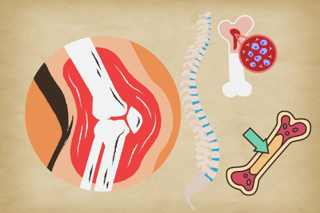 Una nueva técnica de imagen permite estudiar la médula ósea sin alterarla y podría transformar la investigación hematológica