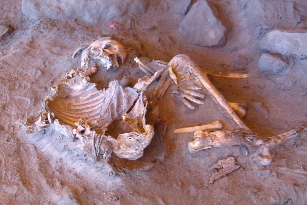 El ADN de una momia de 7.000 años ha sacado a la luz una rama perdida de la humanidad, hasta ahora invisible en el registro arqueológico