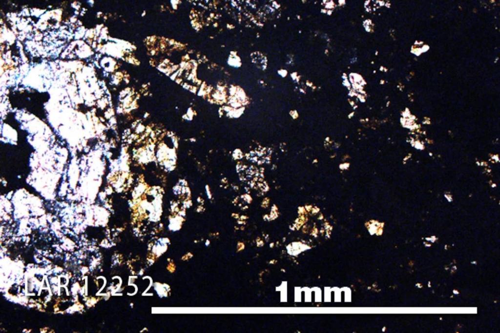 Fotografía en luz polarizada plana de una lámina delgada de la muestra LAR 12252, ampliada cinco veces