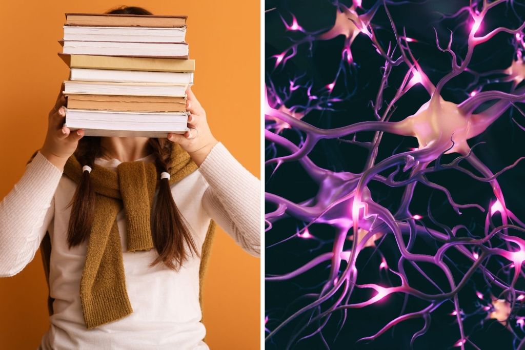 Un innovador estudio revela que el aprendizaje activo puede revertir parte del deterioro cognitivo asociado al envejecimiento