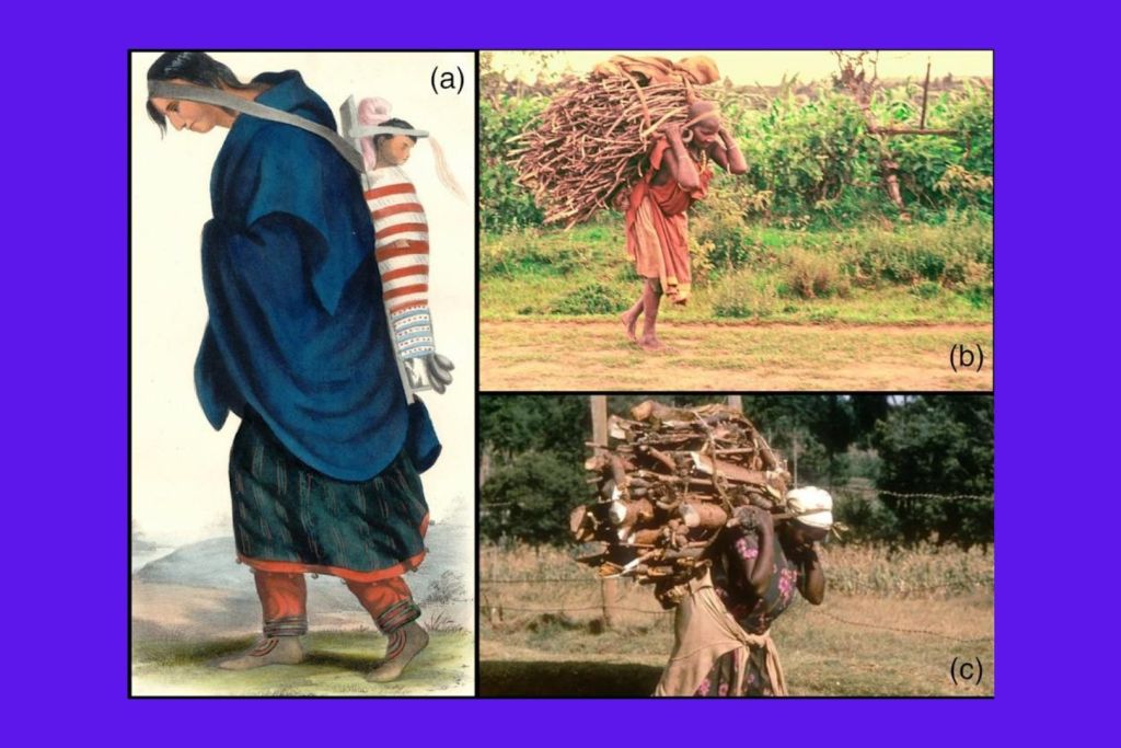 A la izquierda, una ilustración muestra a una mujer ojibwa de Norteamérica cargando a un niño con ayuda de una correa en la cabeza. A la derecha, fotografías de mujeres kikuyu en África oriental transportando mercancías con el mismo sistema tradicional
