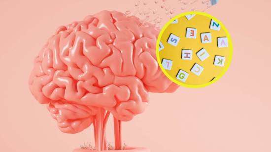 Científicos descubren cómo tu cerebro puede recuperar 30 años de agilidad aprendiendo nuevas habilidades, un estudio que redefine el envejecimiento