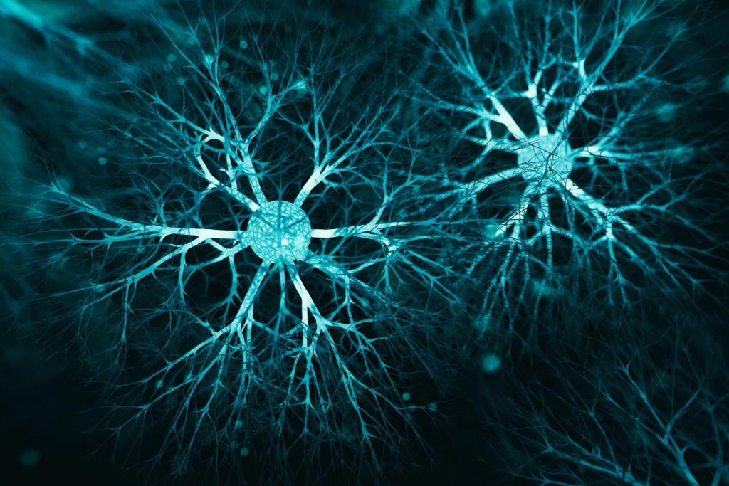 La ciencia demuestra que el cerebro sigue teniendo un enorme potencial de crecimiento en cualquier etapa de la vida
