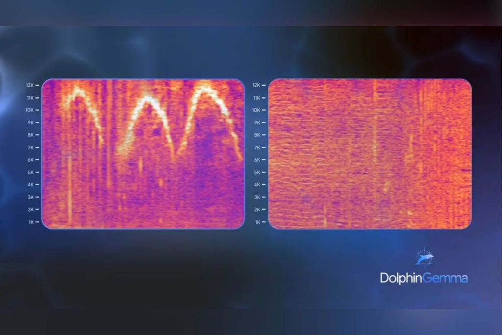 Izquierda: silbidos y, a la derecha, pulsos rápidos generados durante las primeras pruebas de DolphinGemma