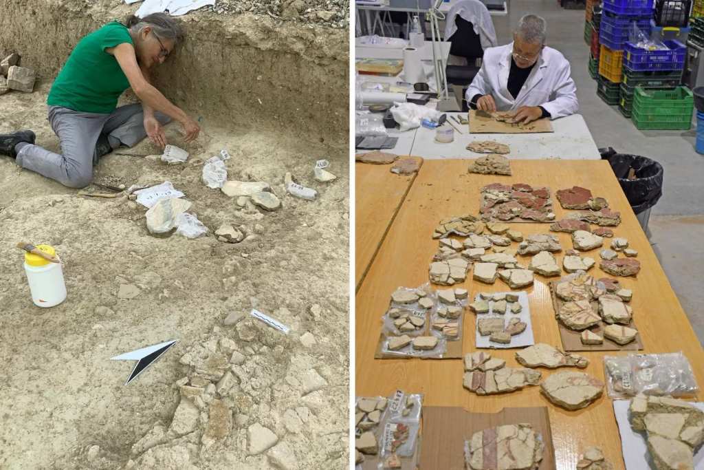 Los fragmentos se están preservando y preparando para su reconstrucción en el laboratorio de restauración del Vilamuseu