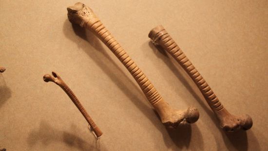 Instrumentos elaborados con huesos, tanto humanos como animales, como los que se conservan en el Museo Nacional de Antropología de México, eran elementos habituales en diversas culturas mesoamericanas anteriores a la llegada de los españoles