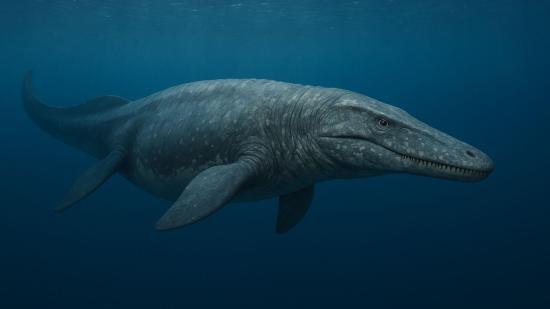 Descubren en el barro una criatura marina que superaba a los dinosaurios en tamaño