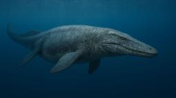 Descubren en el barro una criatura marina que superaba a los dinosaurios en tamaño