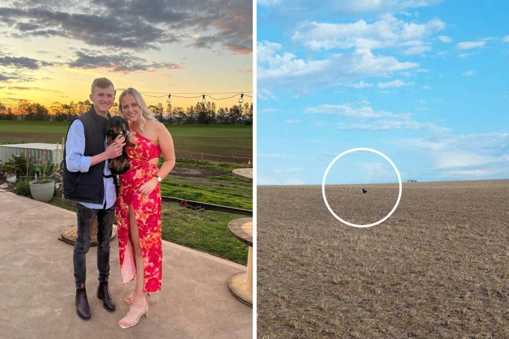 Josh Fishlock y Georgia Gardner aparecen junto a Valerie antes de su desaparición (imagen izquierda). A la derecha, una fotografía captada por un habitante de Kangaroo Island muestra a la que se cree es Valerie durante las labores de búsqueda