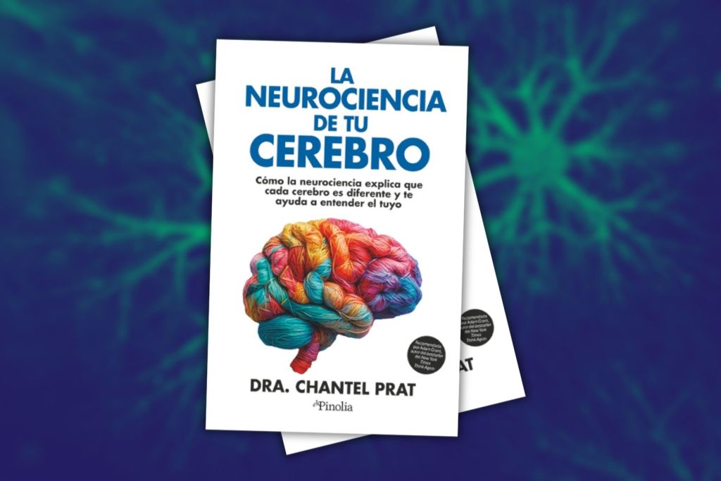La neurociencia de tu cerebro